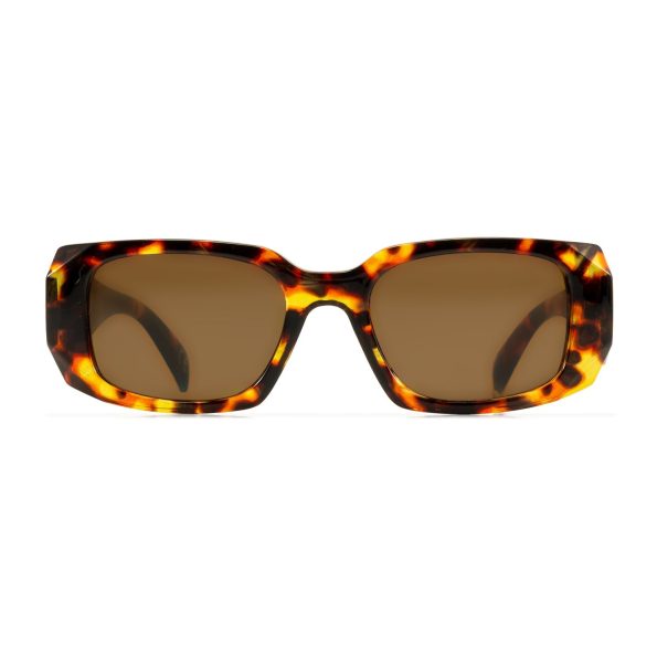 ME508488_Tort_f_070524